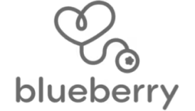 Blueberry logo